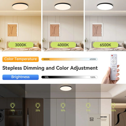 Ceiling Light