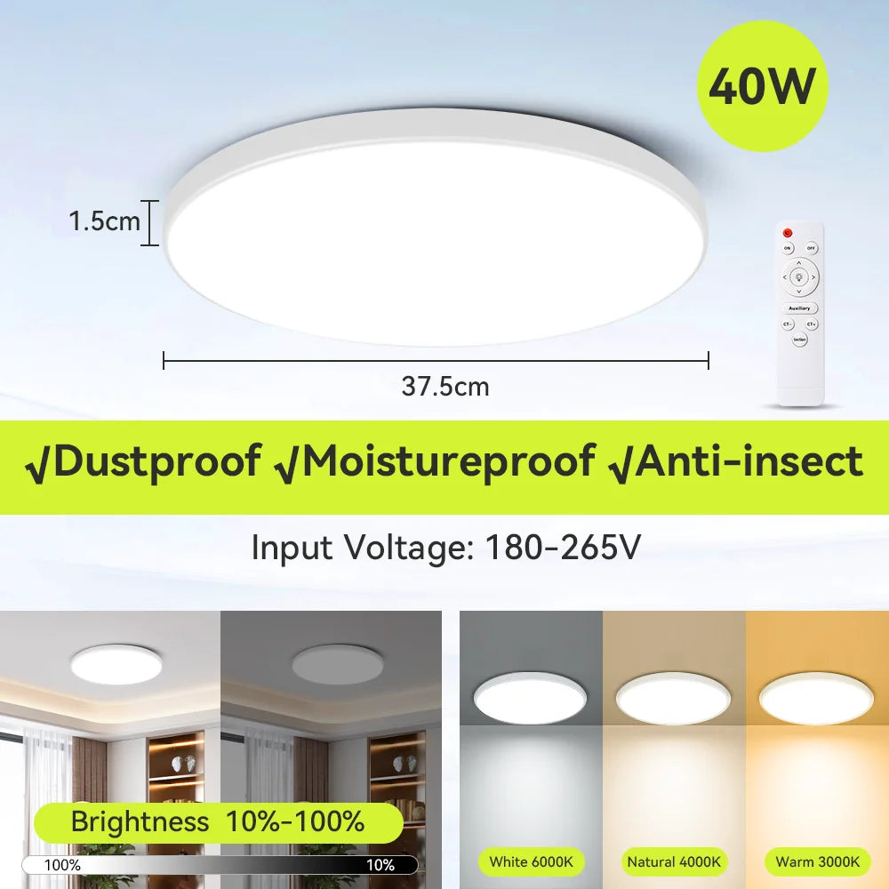 Ceiling Light