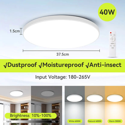 Ceiling Light