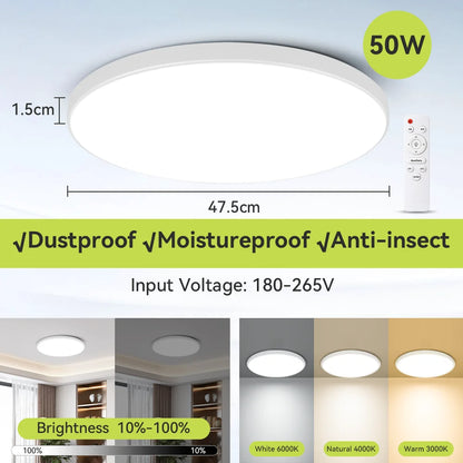 Ceiling Light