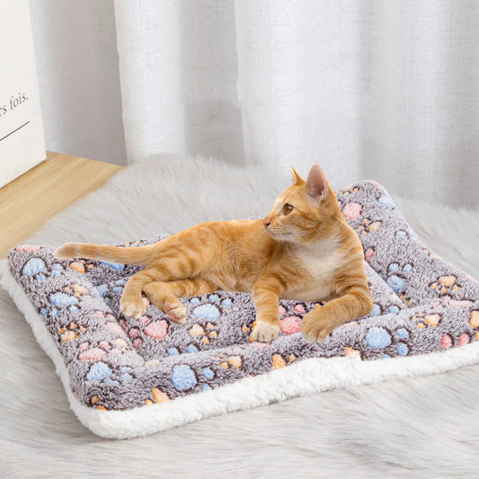Double-Sided Pet Mat