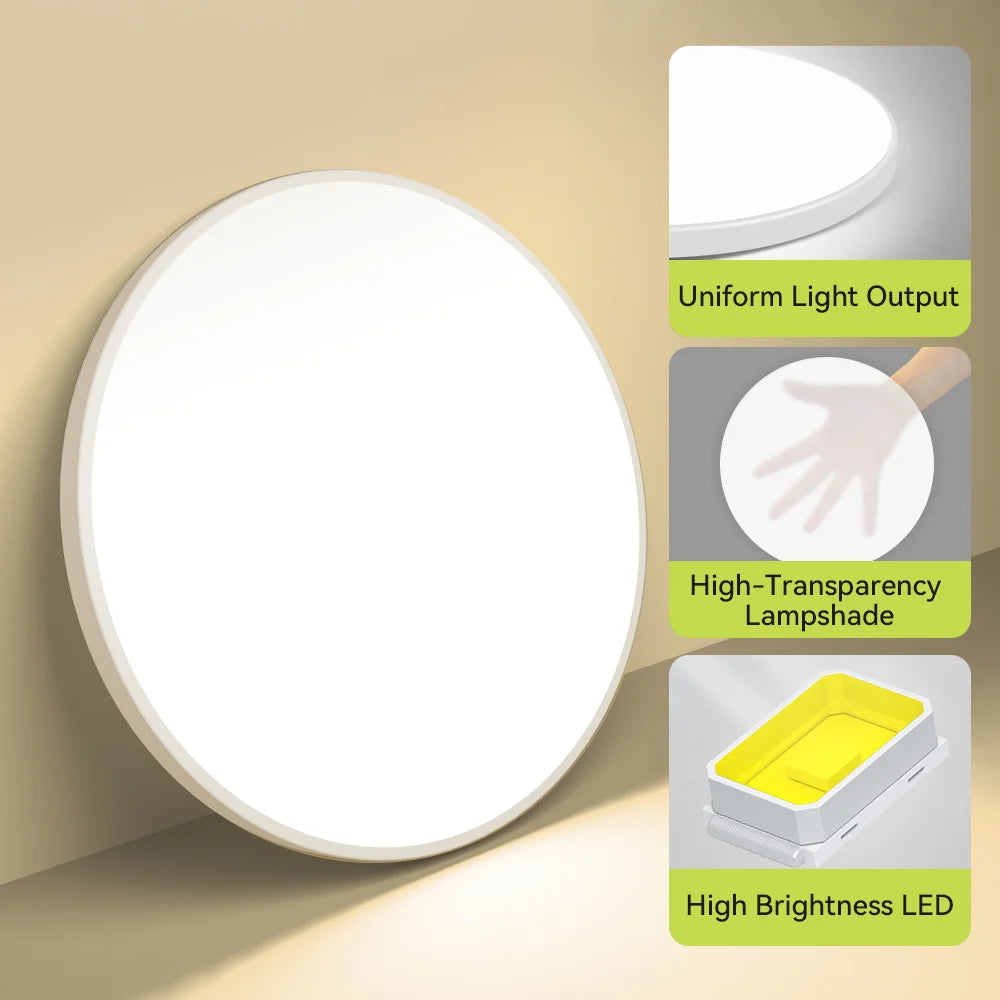 Ceiling Light