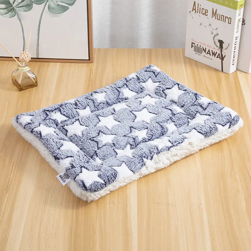 Double-Sided Pet Mat