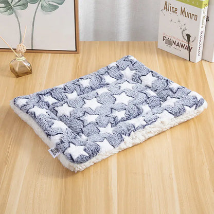 Double-Sided Pet Mat