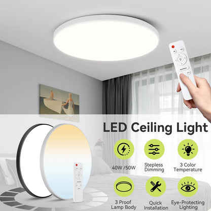Ceiling Light