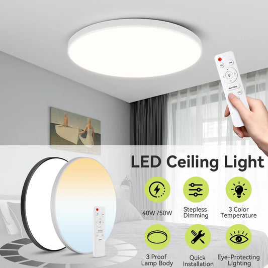 Ceiling Light