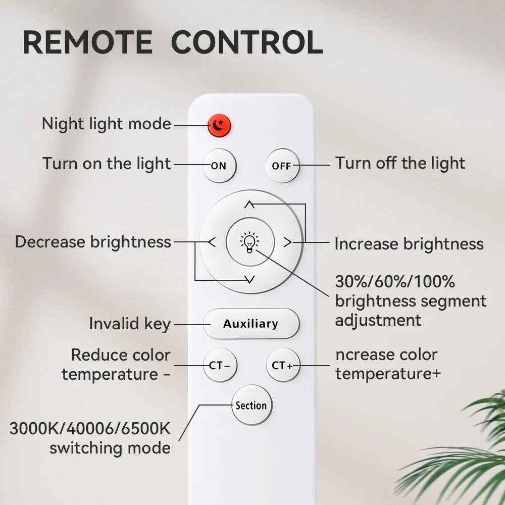 Ceiling Light