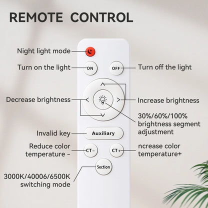 Ceiling Light