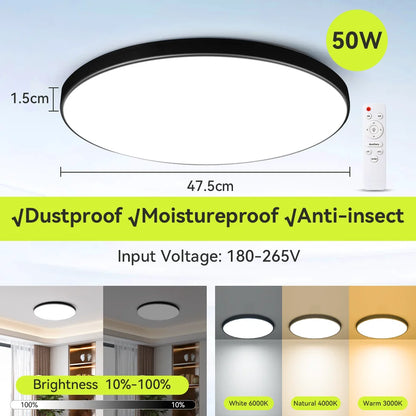 Ceiling Light