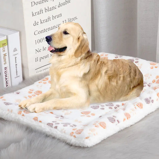 Double-Sided Pet Mat