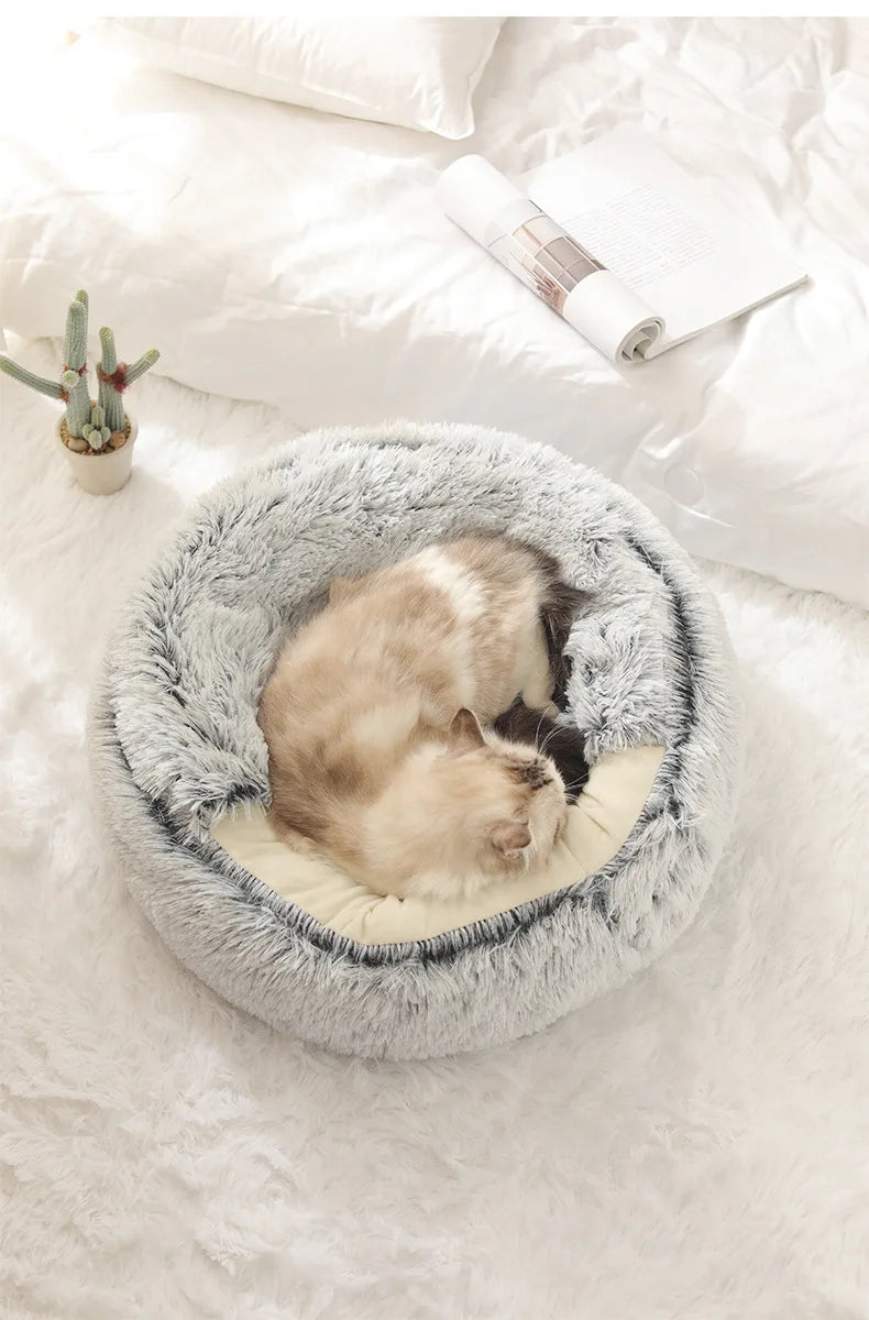 Shell cat nest