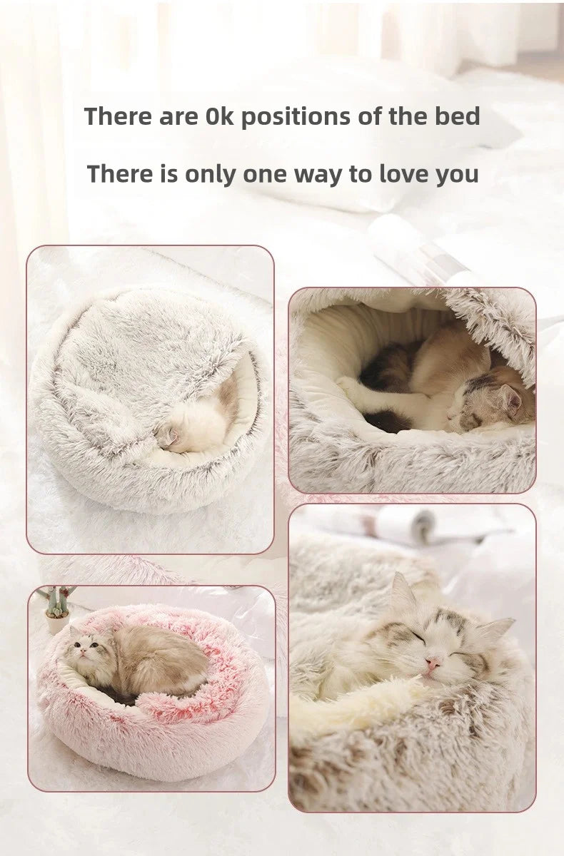 Shell cat nest